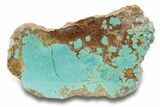 Polished Turquoise Slab - Number Mine, Carlin, NV #248337-1